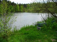 Jezioro i okolice. Domki nad jeziorem. Kociewie. Kaszuby. Bory Tucholskie.
